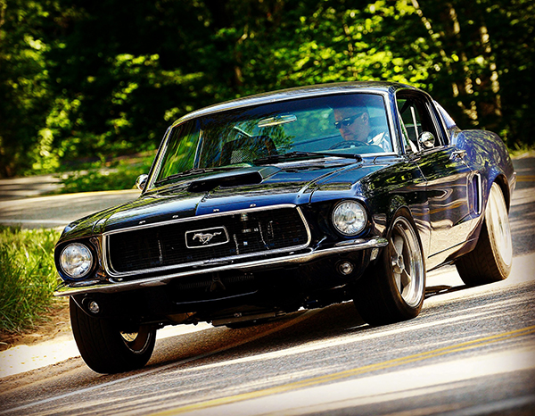 Classic Mustang Small